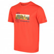 Жіноча футболка Regatta Fingal V CL помаранчевий