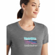 Жіноча футболка Icebreaker Women Tech Lite II SS Tee Trailhead