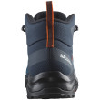 Чоловічі черевики Salomon Ardent Mid Gore-Tex