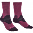 Dámské ponožky Bridgedale Hike MW MP Boot fialová berry/plum 352