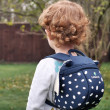 Дитячий рюкзак LittleLife Toddler Backpack Риба