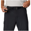 Чоловічі штани Columbia Silver Ridge™ Utility Convertible Pant