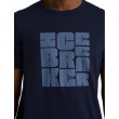 Чоловіча футболка Icebreaker Central SS Tee Type Stack