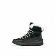Жіночі зимові черевики Sorel ONA™ RMX GLACY WP