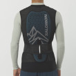 Захист спини Salomon Flexcell Pro Vest