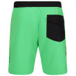 Плавки Regatta Bentham swim short