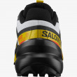 Чоловічі кросівки Salomon Supercross 6