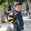 Дитячий рюкзак LittleLife Toddler Bee