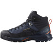 Чоловічі черевики Salomon X Ultra Alpine Mid Gore-Tex