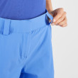 Жіночі шорти Salomon Wayfarer Shorts W