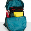Жіночий рюкзак Osprey Sylva 12