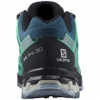 Жіночі черевики Salomon Xa Pro 3D V8 GTX W