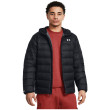 Чоловіча куртка Under Armour Legend Down Hooded Jacket