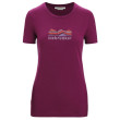 Жіноча функціональна футболка Icebreaker Women Tech Lite II SS Tee Mountain Geology фіолетовий