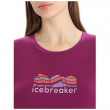 Жіноча функціональна футболка Icebreaker Women Tech Lite II SS Tee Mountain Geology