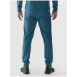 Чоловічі спортивні штани 4F Trousers Fnk M682