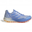 Чоловічі черевики Adidas Terrex Agravic Flow 2 блакитний