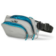 Поясна сумка Pacsafe ECO waist pack