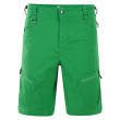 Pánské kraťasy Dare2b Tuned In Shorts zelená