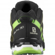 Чоловічі кросівки Salomon Xa Pro 3D V8 Gore-Tex