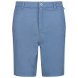 Чоловічі шорти Regatta Sabden Short блакитний Coronet Blue