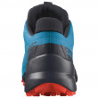 Чоловічі черевики Salomon Speedcross 5 GTX