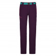 Жіночі штани Ortovox Brenta Pants W фіолетовий aubergine