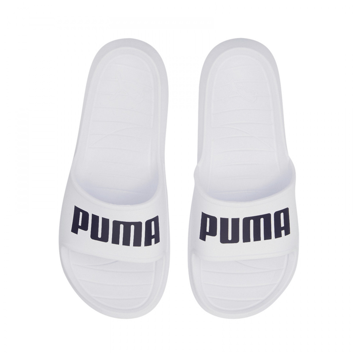 puma divecat v2