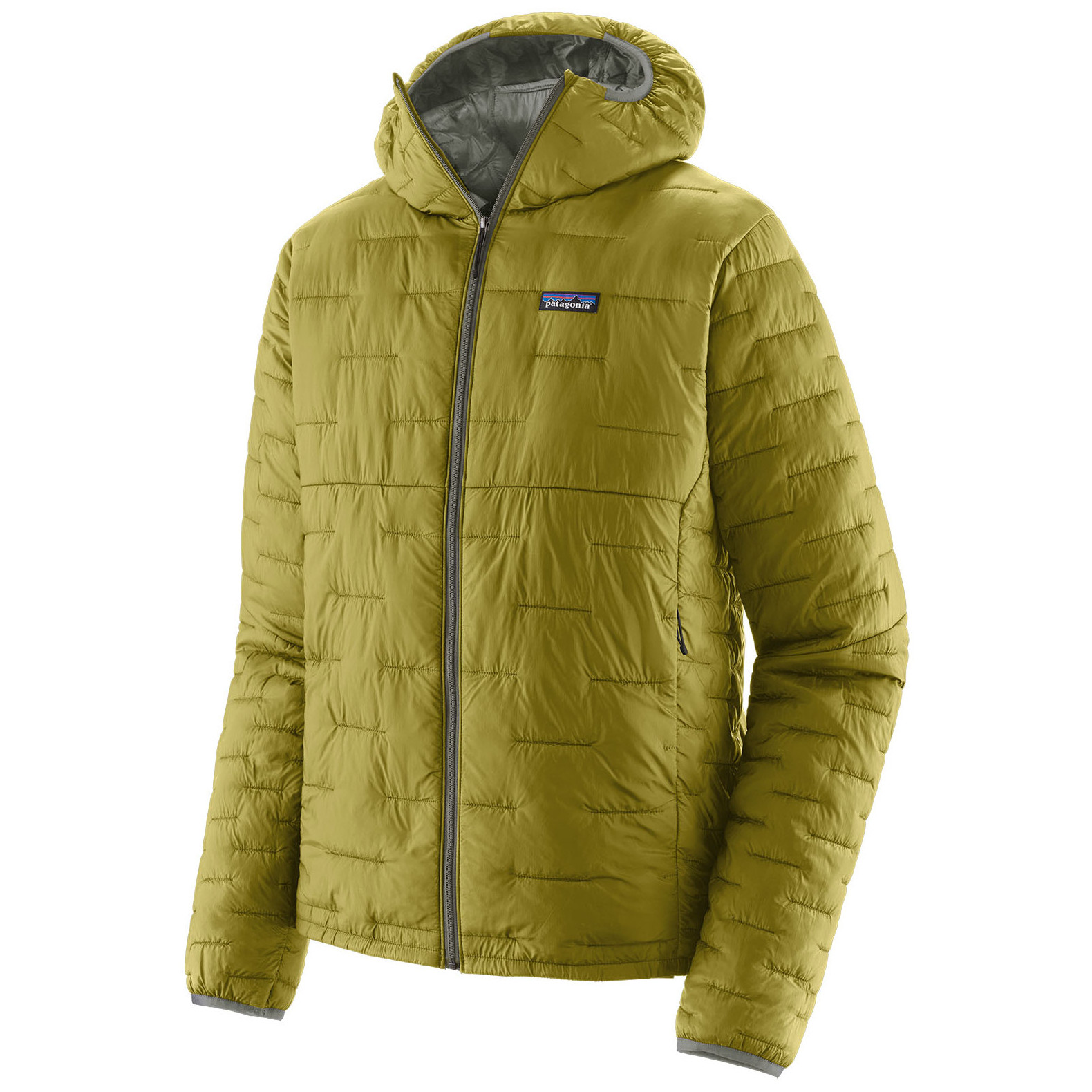 Patagonia micro on sale puff hoody mens