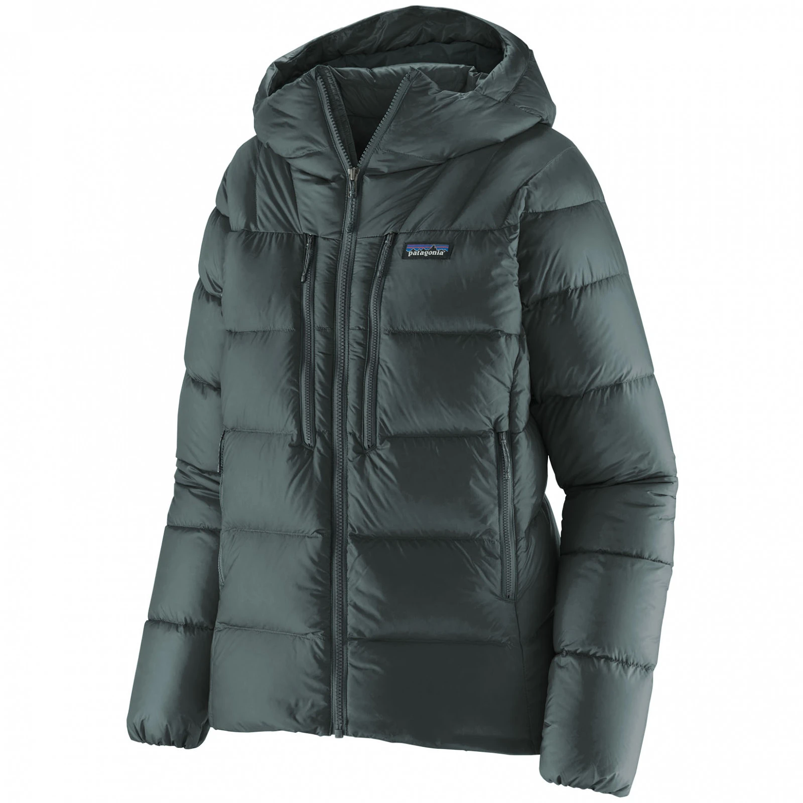 Patagonia fitz roy 2025 hooded down jacket