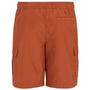 Плавки Regatta Blanmont Swim Short