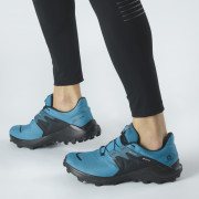 Чоловічі черевики Salomon Wildcross 2 Gore-Tex