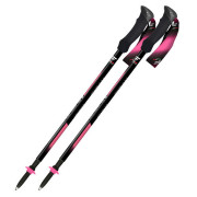 Трекінгові палиці Fizan Compact Tech