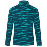 Дитяча толстовка Regatta Hot Shot II MeditZebra