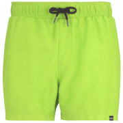 Плавки Regatta Mawson Swim Shorts III