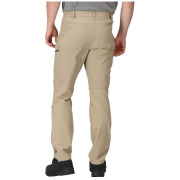 Чоловічі штани Regatta Highton Trs short