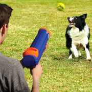 Іграшка для собак Nerf Dog Blaster + Tennis Balls 3 pcs