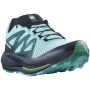 Чоловічі кросівки Salomon Pulsar Trail синій