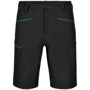 Чоловічі шорти Ortovox Pelmo Shorts M