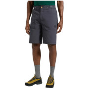 Чоловічі шорти La Sportiva Talus Shorts M