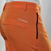 Чоловічі шорти Salewa Puez Talveno Dst Shorts M