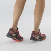 Жіночі черевики Salomon Wings Sky Gore-Tex