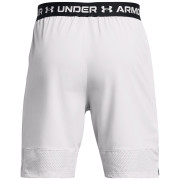Чоловічі шорти Under Armour Vanish Woven Shorts