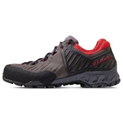 Чоловічі туристичні черевики Mammut Alnasca II Low GTX® Men