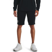 Чоловічі шорти Under Armour Rival Terry Short