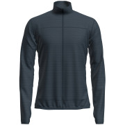 Чоловіча толстовка Icebreaker M M 300 Descenderender LS Zip синій/сірий Abyss