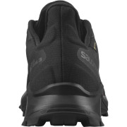 Жіночі черевики Salomon Alphacross 3 Gore-Tex W
