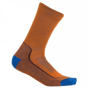 Чоловічі шкарпетки Icebreaker M Hike+ Light Crew помаранчевий