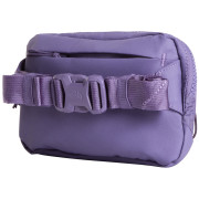 Поясна сумка The North Face Terra Lumbar 1L