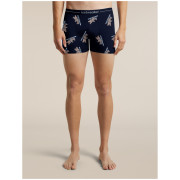 Чоловічі функціональні боксерки Icebreaker Men M 150 Anatomica Boxers BearTourAOP